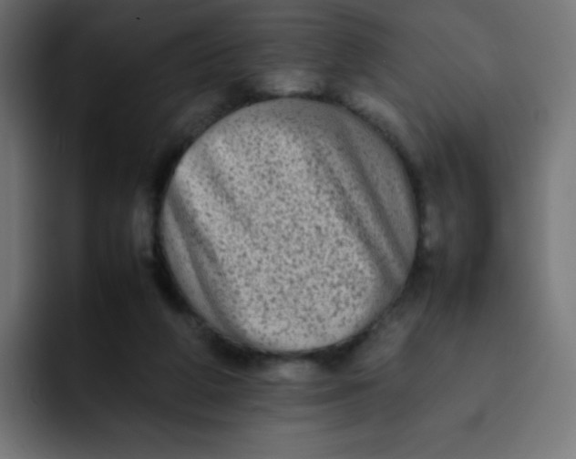 X0000092060210200710031106