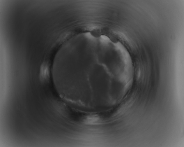 X0000092060214200710031106