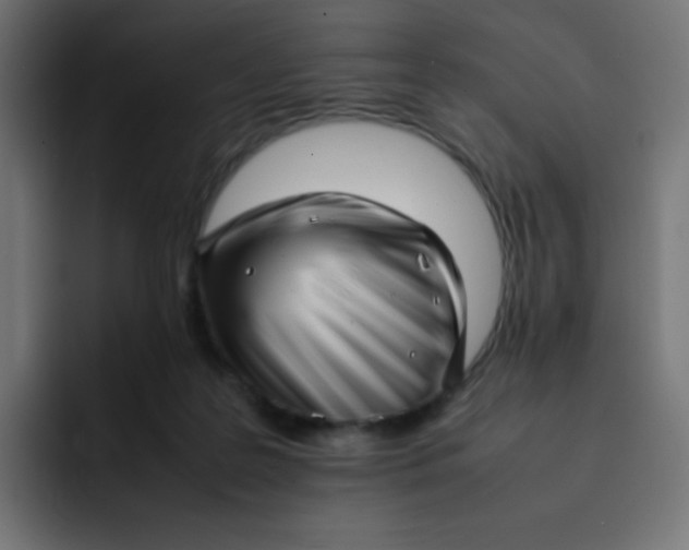 X0000092060219200710031106