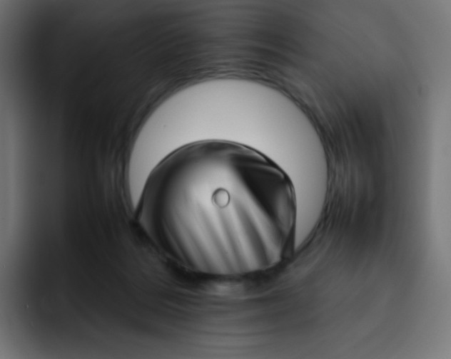 X0000092060220200710031106