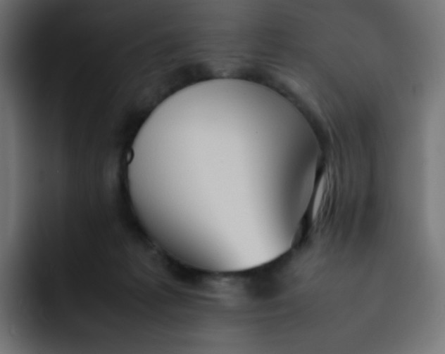 X0000092060221200710031106