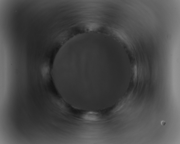 X0000092060222200710031106