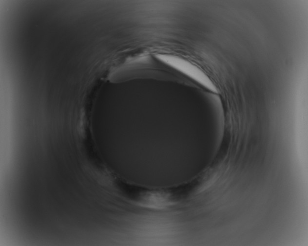 X0000092060223200710031106