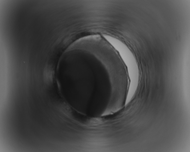 X0000092060227200710031106