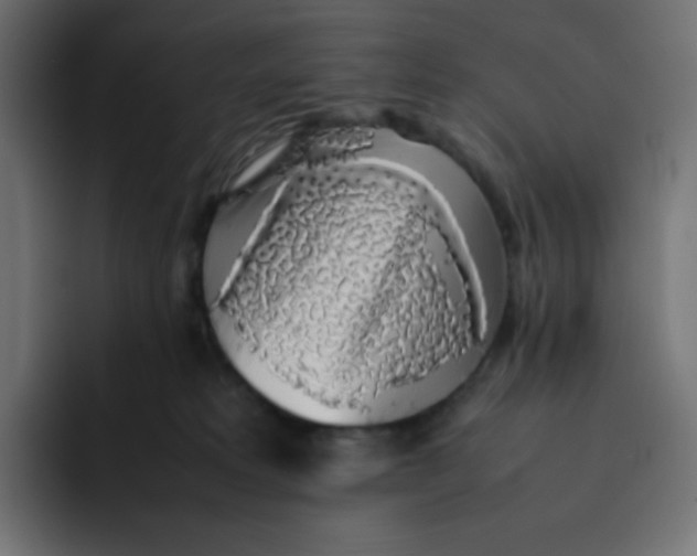 X0000092060229200710031106