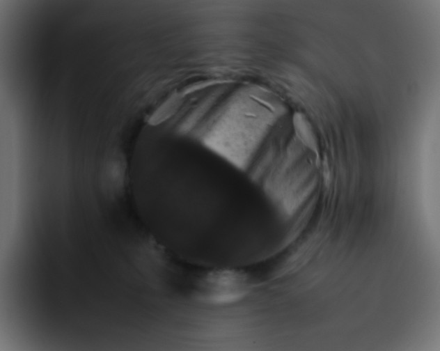 X0000092060231200710031106