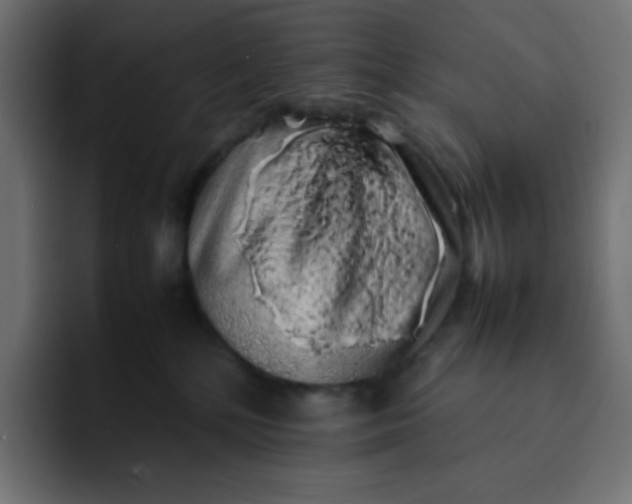 X0000092060232200710031106