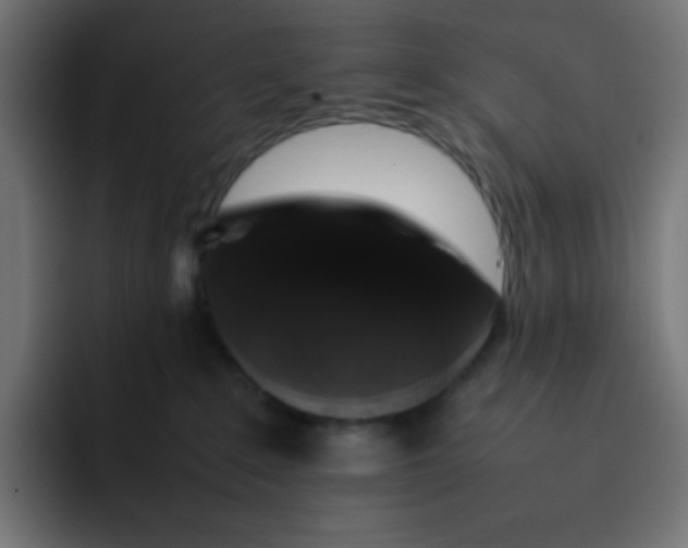 X0000092060235200710031106