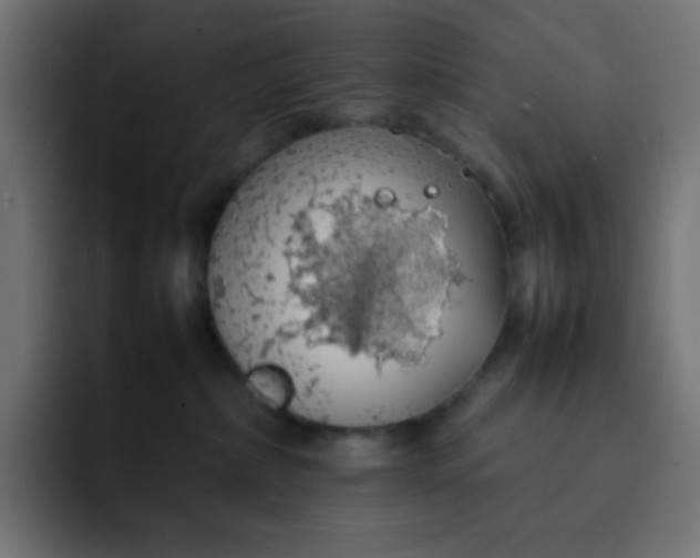 X0000092060236200710031106