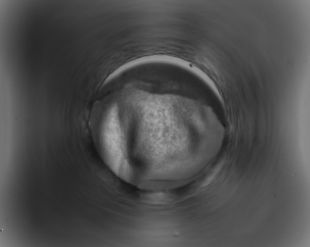 X0000092060237200710031106