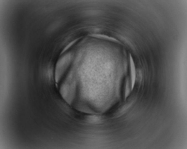 X0000092060238200710031106