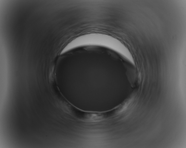 X0000092060239200710031106