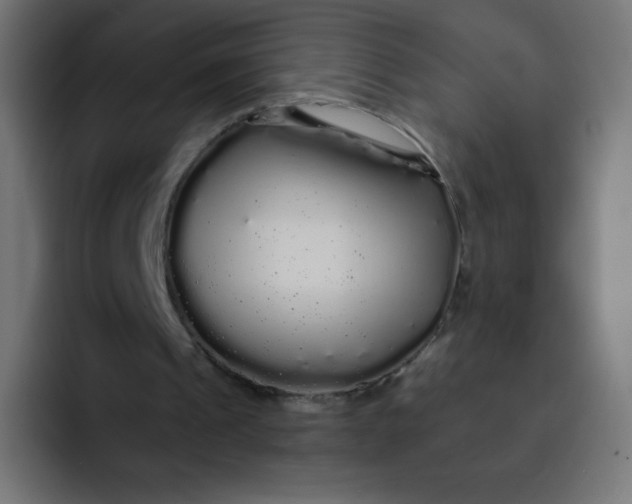 X0000092060241200710031105