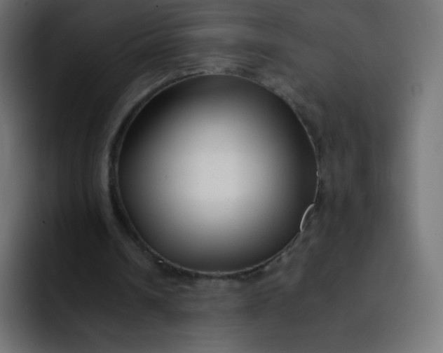 X0000092060242200710031105