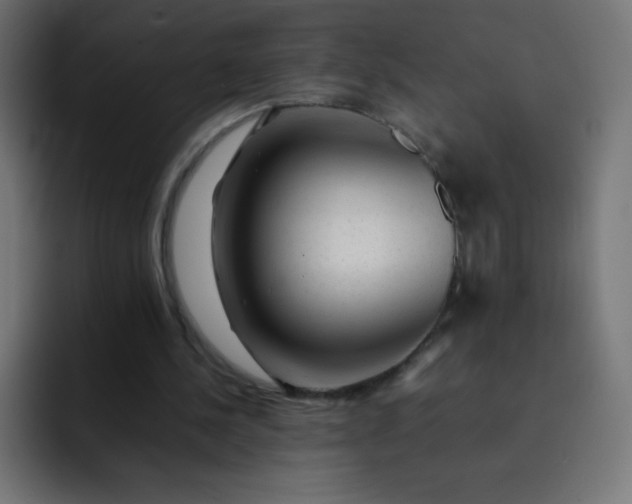 X0000092060244200710031105