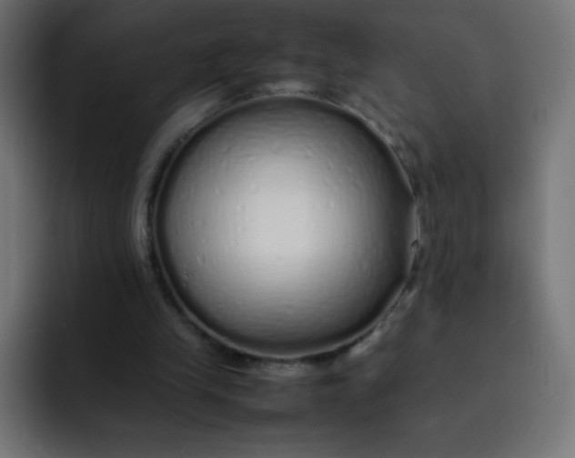 X0000092060245200710031105