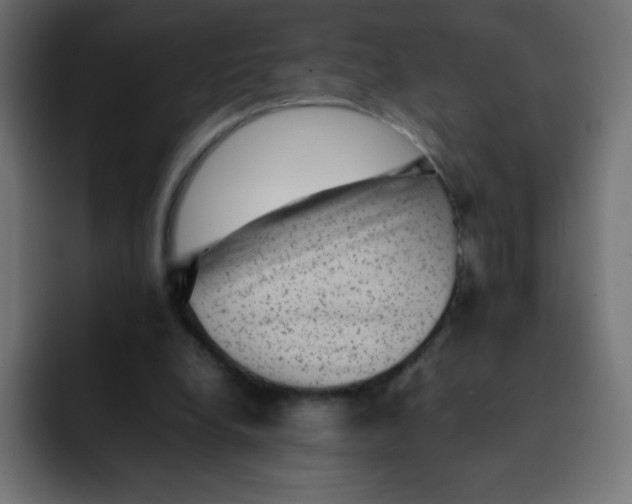 X0000092060248200710031105