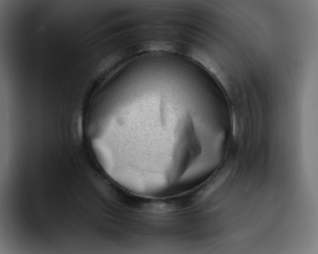 X0000092060253200710031106