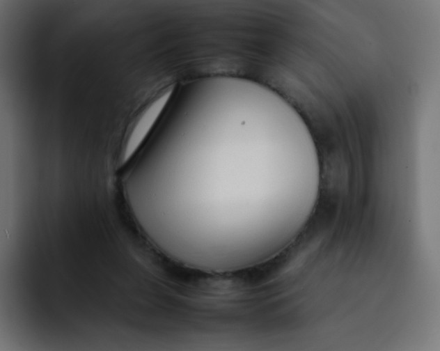 X0000092060255200710031106