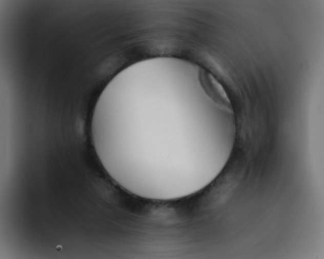 X0000092060258200710031106