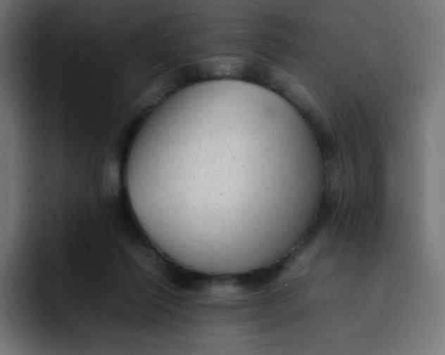 X0000092060262200710031106