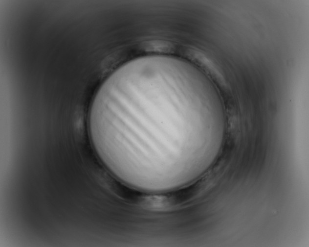 X0000092060265200710031106