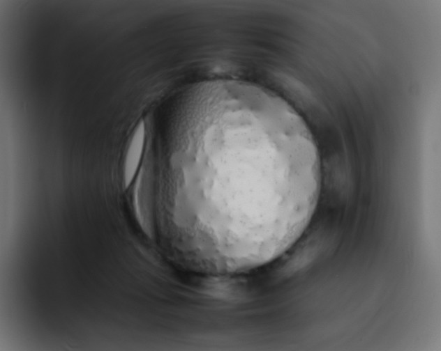 X0000092060269200710031106