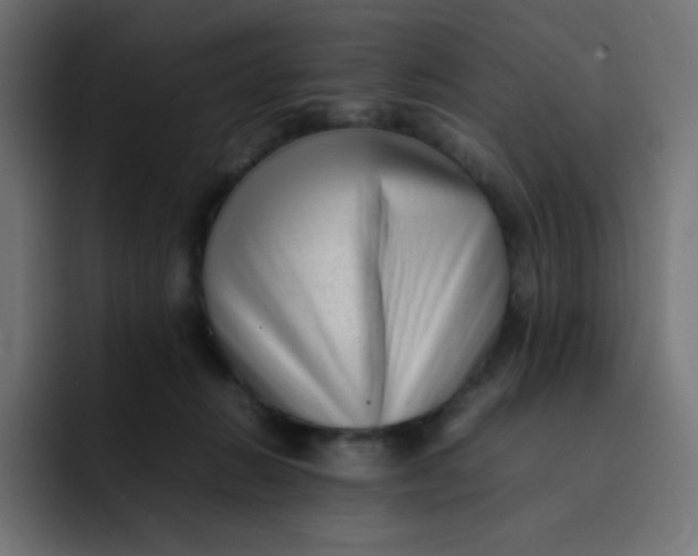 X0000092060270200710031106