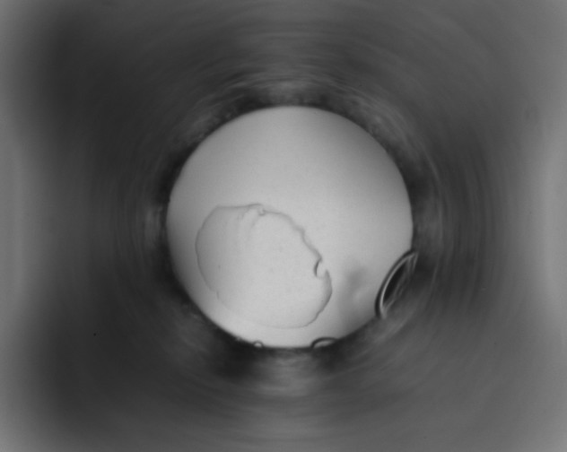 X0000092060278200710031106