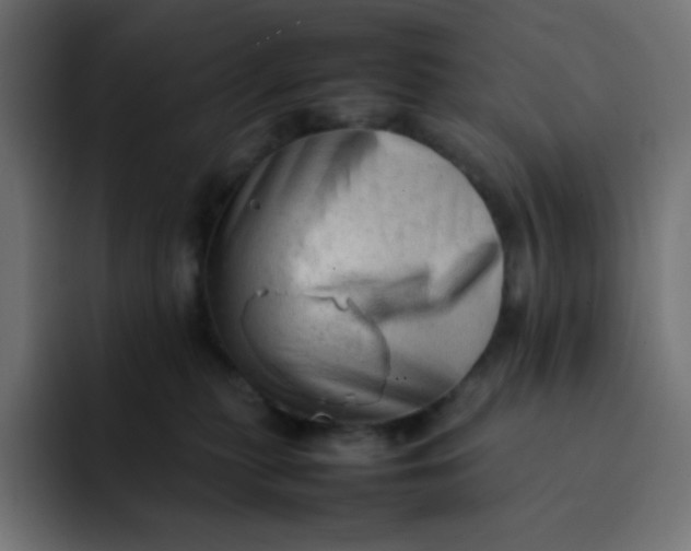 X0000092060279200710031106