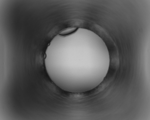 X0000092060282200710031106