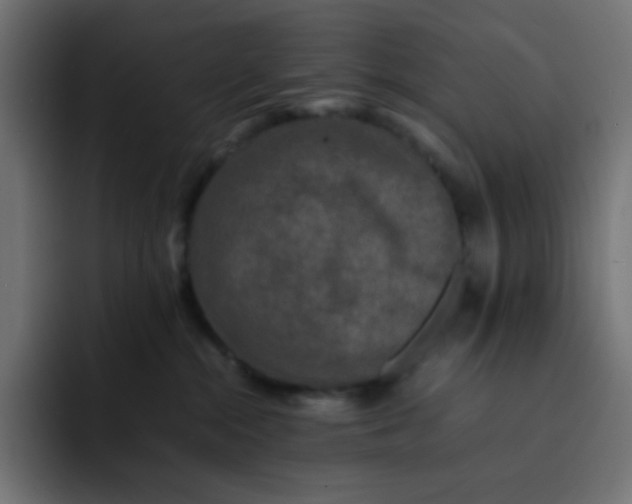 X0000092060284200710031106