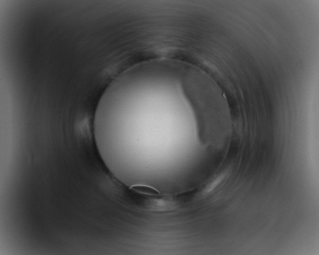 X0000092060286200710031106