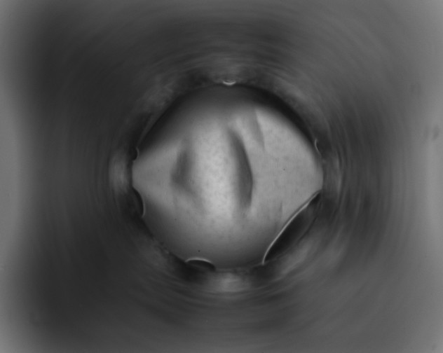 X0000092060287200710031106