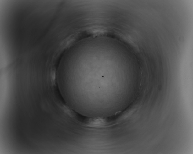 X0000092060288200710031106