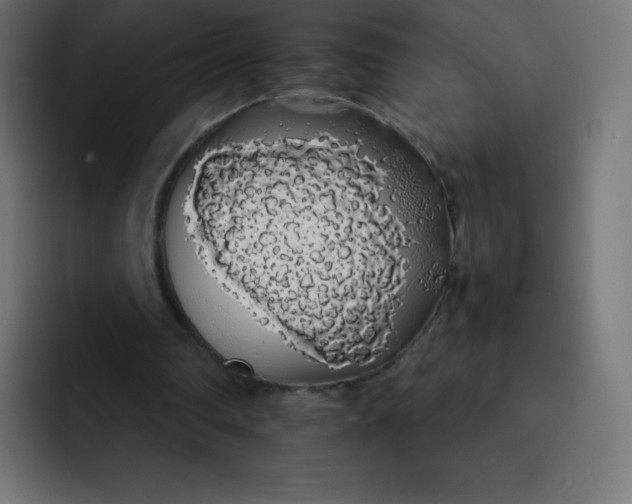 X0000092060290200710031105