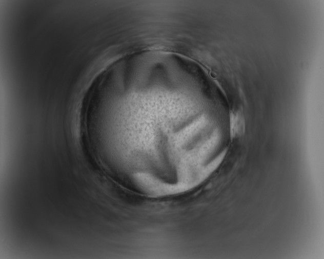 X0000092060291200710031105