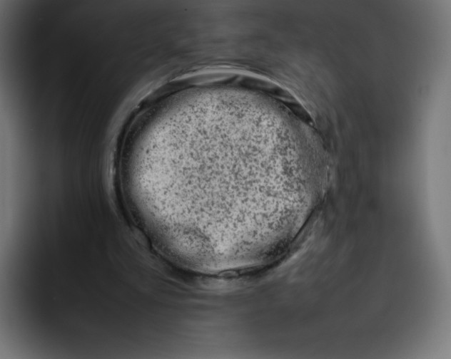 X0000092060293200710031105