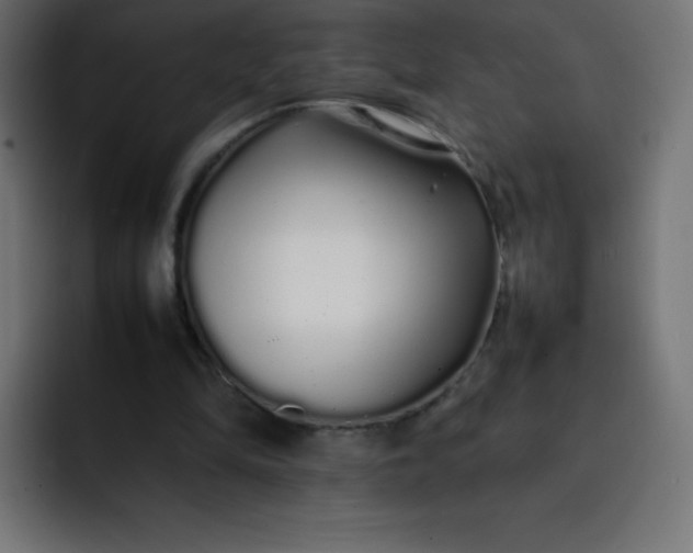 X0000092060294200710031105