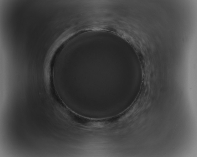 X0000092060295200710031105