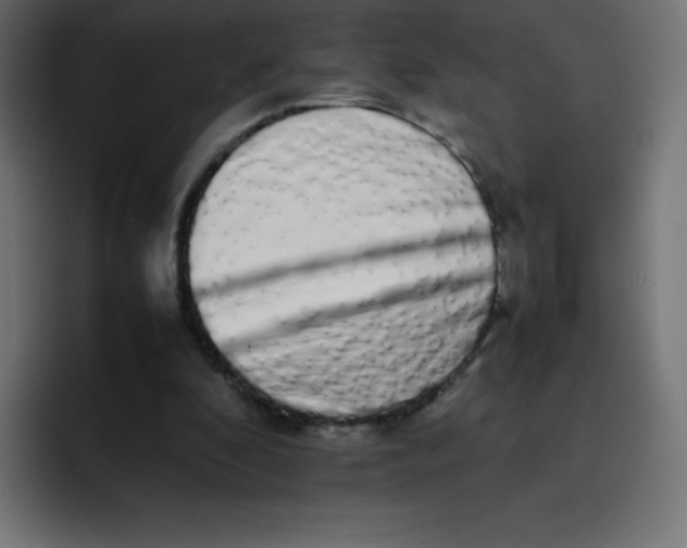 X0000092060296200710031105