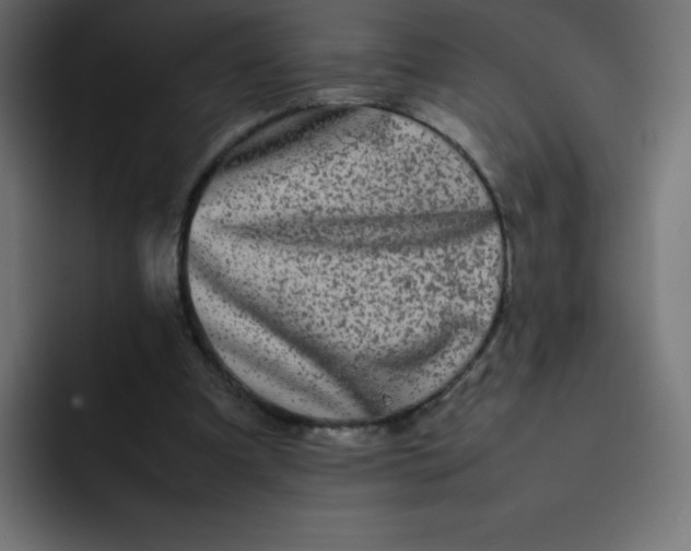 X0000092060297200710031105