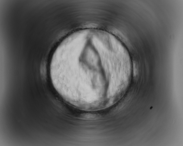 X0000092060300200710031105