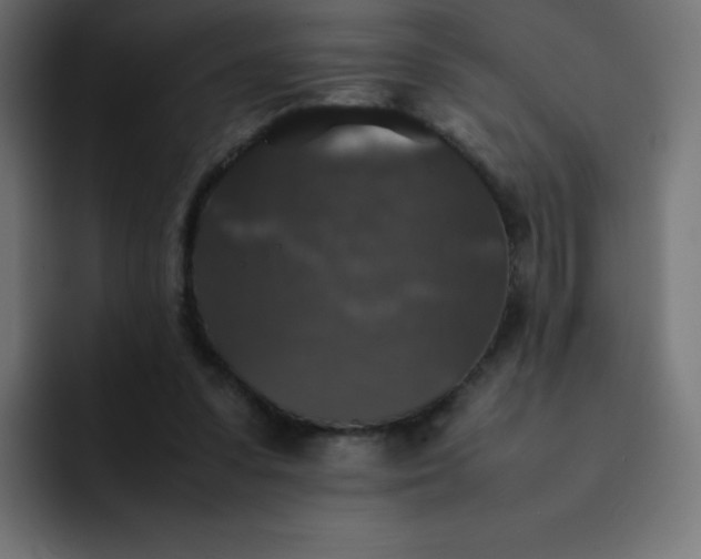 X0000092060303200710031105