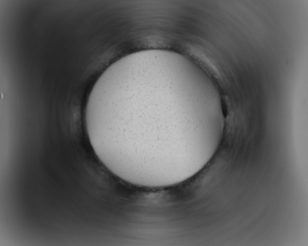 X0000092060306200710031105