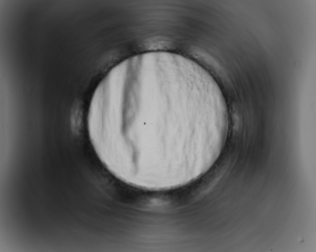 X0000092060308200710031105