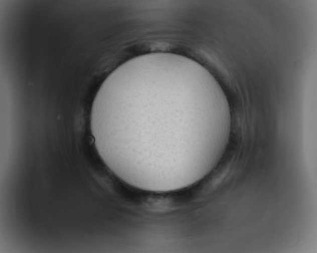 X0000092060311200710031105