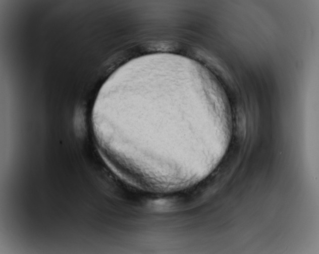 X0000092060312200710031105