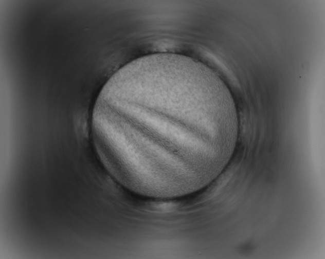 X0000092060313200710031105