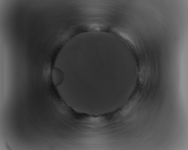 X0000092060314200710031105